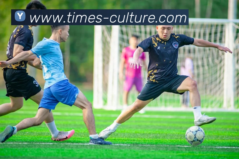 开云手机在线登陆入口服务体系