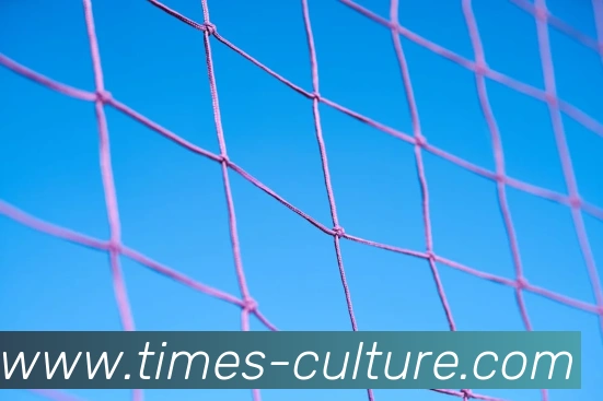 开云手机在线登陆入口APP 体育赛事宣传图